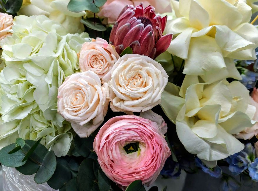A close-up of a floral arrangement featuring creamy white and soft pink roses, complemented by large white hydrangea blooms and pale yellow orchids, all arranged in a dense bouquet. The roses display 
